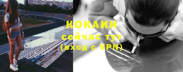кокс Богородицк