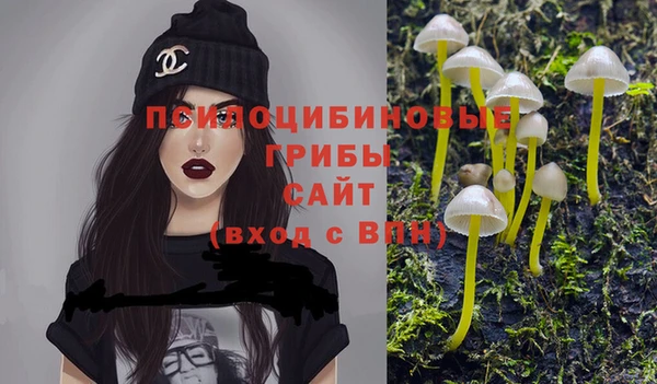 каннабис Богданович