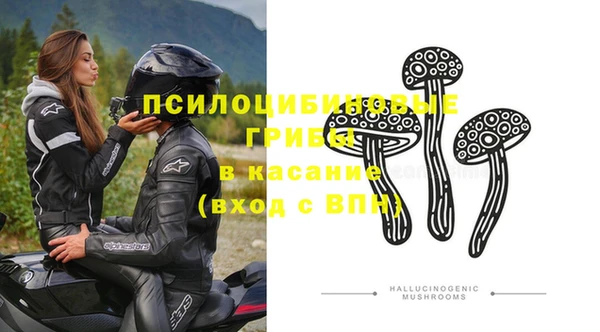 каннабис Богданович